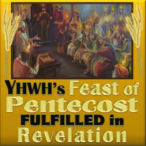 Pentecost,holy spirit,apostles,Christian,celebrate,promised holy spirit,baptize,baptized,feast of weeks,Leviticus 23:15,Deuteronomy 16:9,Shavuot,Book of Revelation,Bible Prophesy,Fulfillment,Pentecost in Revelation,Pentecost in Joel,when,timing,Joel 2:28,Joel 2:29,Latter Rain,YHWH’s 7 Feasts,7 Feasts,Fall Feasts,Spring Feasts,Pentecost Fulfillment in Revelation,Pentecost