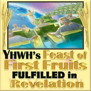 Feast of FirstFruits,Feast of First Fruits,First Fruits,Firstfruits,celebrating,Passover,unleavened bread,feast of Passover,feast of unleavened bread,pesach,Nissan,first born,firstborn,Shavuot,feast of weeks,sefirah,counting the omer,spring feasts,144000,Christ,1st resurrection,first resurrection,7 Feasts,Book of Revelation,fulfilled,meaning,copy,shadow,forshadow,pattern,fulfillment,bride,new Jerusalem,levi,tribe of levi,priests,kings,judges,priest,king,judges,wife of the lamb,heavenly Jerusalem,Jerusalem above,Jerusalem,Israelof the LAMB.” Revelation 21:9,Bride,wife of the LAMB,Revelation 21:14,twelve apostles of the LAMB,