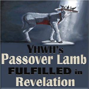 Pesach,firstborn,first born,pass over,leaven,Seder,meals,Seder Supper,wine,matzah,bitter herbs,roasted lamb,Exodus,Lamb,Occurs 24 Times,Book of Revelation,Passover,Revelation 5:6, I saw a LAMB,as though it had been slain,seven horns,seven eyes,seven spirits of God, sent out into all the earth,Revelation 5:8scroll, the four living creatures and the twenty-four elders fell down before the LAMB,Revelation 5:12,Worthy is the LAMB who was slain, to receive power and wealth and wisdom and might and honor and glory and blessing,Revelation 5:13,To him who sits on the throne and to the LAMB, be blessing and honor and glory and might forever and ever,Revelation 6:1, LAMB opened one of the seven seals,Revelation 6:16, Fall on us and hide us from the face of him who is seated on the throne,the wrath of the LAMB,Revelation 7:9, After this I looked, and behold, a great multitude that no one could number, from every nation, from all tribes and peoples and languages, standing before the throne and before the LAMB, clothed in white robes, with palm branches in their hands,Revelation 7:10,and crying out with a loud voice,Salvation belongs to our God who sits on the throne,and to the LAMB,Revelation 7:14,They have washed their robes and made them white in the blood of the LAMB,Revelation 7:17,For the LAMB in the midst of the throne will be their shepherd, and he will guide them to springs of living water, and God will wipe away every tear from their eyes,Revelation 8:1, When the LAMB opened the seventh seal,Revelation 12:11,And they have conquered him by the blood of the LAMB,and by the word of their testimony, for they loved not their lives even unto death,Revelation 13:8,the book of life of the LAMB,Revelation 13:11,two horns like a LAMB,spoke like a dragon,Revelation 14:1,Mount Zion,stood the LAMB,with him 144,000,Revelation 14:4,follow the LAMB wherever he goes,firstfruits for God and the LAMB,Revelation 14:10,tormented with fire and sulfur,presence of the holy angels,in the presence of the LAMB,Revelation 15:3, song of the LAMB,Revelation 17:14,make war on the LAMB,Lamb will conquer them,Revelation 19:7,marriage of the LAMB has come,Revelation 19:9,invited,marriage supper