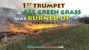 First Trumpet,1st Trumpet,Trumpet 1,1st Trumpet Revelation,Interpretation,Biblical,Scriptural,1st Trumpet,Hail,Fire,Blood,All Grass Burnt,Green Grass Burnt up,Green Grass burning,Green grass dead,Green grass dying,dead grass,dying grass,burning grass,Harvest Fail,crop fail,drought,famine,hunger,starving,birth pains,beginning of Pangs of distress,malnutrition,food security,food scarcity,all of the Green Grass was burnt up,Third Trees Burnt,1/3 trees burnt,trees burnt,treed burning,trees on fire,burning forest,forest fire,forest dying,dead forest,withering trees,Third Earth,1/3rd of the earth burnt up,Burnt,Seven Trumpets,7 Trumpets,Book of Revelation,Revelation 8,Revelation Chapter 8,Apocalypse,End times,Last Days,Fulfillment of Revelation,fulfillment of Bible Prophesy,fulfillment of prophesy,fulfillment of the 1st trumpet, 1st Trumpet, 1st trumpet bible, 1st trumpet of revelation, 1st trumpet revelation, first trumpet of the apocalypse, first trumpet revelation, revelation 8 9, revelation 8 and 9, revelation 8 and 9 explained, the 1st trumpet, the first angel sounded his trumpet, the first trumpet in the bible, the first trumpet revelation, 1 Kings 18 5, 2 Kings 19 26, Deuteronomy 11 15, Deuteronomy 29 23, enduring word revelation 8, Exodus 7 20, Exodus 9 23, Exodus 9 24, Exodus 9 25, Exodus 9 33, Ezekiel 15 6, Ezekiel 20 47, Ezekiel 20 48, Ezekiel 20 49, Genesis 19 24, Genesis 19 25, Isaiah 1 30, Isaiah 1 31, Isaiah 10 16, Isaiah 10 17, Isaiah 10 18, Isaiah 10 19, Isaiah 15 6, Isaiah 15 7, Isaiah 2 12, Isaiah 2 13, Isaiah 2 14, Isaiah 2 15, Isaiah 9 10, Isaiah 9 19, Isaiah 9 20, Jeremiah 12 4, Jeremiah 14 1, Jeremiah 14 2, Jeremiah 14 3, Jeremiah 14 4, Jeremiah 14 5, Jeremiah 14 6, Jeremiah 21 14, Jeremiah 7 20, Jeremiah 7 28, Jeremiah 7 29, Joel 1 17, Joel 1 18, Joel 1 19, Judges 9 15, kjv revelation 8, Psalm 78 47, Psalm 78 48, Psalms 104 14, Psalms 105 32, Psalms 105 33, Psalms 105 34, Psalms 105 35, Revelation 8, revelation 8 and 9, revelation 8 enduring word, revelation 8 esv, revelation 8 kjv, revelation 8 meaning, revelation 8 nasb, revelation 8 niv, revelation 8 nkjv, revelation 8 nlt, the revelation 8, Zechariah 11 1, Zechariah 11 2, bible joel 1, book of joel kjv, Joel 1, Joel 1 1, Joel 1 10, Joel 1 11, Joel 1 12, Joel 1 13, Joel 1 14, Joel 1 15, Joel 1 16, Joel 1 17, Joel 1 18, Joel 1 19, Joel 1 2, Joel 1 20, Joel 1 3, Joel 1 4, Joel 1 5, Joel 1 6, Joel 1 7, Joel 1 8, Joel 1 9, joel 1 esv, joel 1 kjv, joel 1 meaning, joel 1 niv, joel 1 nkjv, joel 1 nlt, the book of joel kjv,