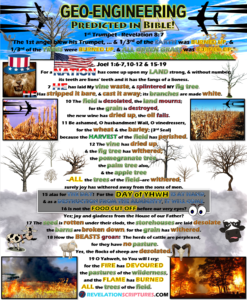 Geoengineering Predicted in the Bible,Geoengineering & Bible Prophesy,Bible predicted Geoengineering, First Trumpet,1st Trumpet,1st Trumpet fulfillment & Geoengineering, Joel 1,Joel Chapter 1,trees dying,trees burnt up,third of trees burnt,All green grass burnt,green grass,burning,book of revelation,climate change,global warming,drought,famine,birth pains,beginning of birth pains