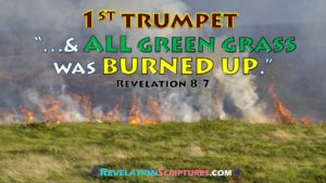 First Trumpet,1st Trumpet,Trumpet 1,1st Trumpet Revelation,Interpretation,Biblical,Scriptural,1st Trumpet,Hail,Fire,Blood,All Grass Burnt,Green Grass Burnt up,Green Grass burning,Green grass dead,Green grass dying,dead grass,dying grass,burning grass,Harvest Fail,crop fail,drought,famine,hunger,starving,birth pains,beginning of Pangs of distress,malnutrition,food security,food scarcity,all of the Green Grass was burnt up,Third Trees Burnt,1/3 trees burnt,trees burnt,treed burning,trees on fire,burning forest,forest fire,forest dying,dead forest,withering trees,Third Earth,1/3rd of the earth burnt up,Burnt,Seven Trumpets,7 Trumpets,Book of Revelation,Revelation 8,Revelation Chapter 8,Apocalypse,End times,Last Days,Fulfillment of Revelation,fulfillment of Bible Prophesy,fulfillment of prophesy,fulfillment of the 1st trumpet, 1st Trumpet, 1st trumpet bible, 1st trumpet of revelation, 1st trumpet revelation, first trumpet of the apocalypse, first trumpet revelation, revelation 8 9, revelation 8 and 9, revelation 8 and 9 explained, the 1st trumpet, the first angel sounded his trumpet, the first trumpet in the bible, the first trumpet revelation, 1 Kings 18 5, 2 Kings 19 26, Deuteronomy 11 15, Deuteronomy 29 23, enduring word revelation 8, Exodus 7 20, Exodus 9 23, Exodus 9 24, Exodus 9 25, Exodus 9 33, Ezekiel 15 6, Ezekiel 20 47, Ezekiel 20 48, Ezekiel 20 49, Genesis 19 24, Genesis 19 25, Isaiah 1 30, Isaiah 1 31, Isaiah 10 16, Isaiah 10 17, Isaiah 10 18, Isaiah 10 19, Isaiah 15 6, Isaiah 15 7, Isaiah 2 12, Isaiah 2 13, Isaiah 2 14, Isaiah 2 15, Isaiah 9 10, Isaiah 9 19, Isaiah 9 20, Jeremiah 12 4, Jeremiah 14 1, Jeremiah 14 2, Jeremiah 14 3, Jeremiah 14 4, Jeremiah 14 5, Jeremiah 14 6, Jeremiah 21 14, Jeremiah 7 20, Jeremiah 7 28, Jeremiah 7 29, Joel 1 17, Joel 1 18, Joel 1 19, Judges 9 15, kjv revelation 8, Psalm 78 47, Psalm 78 48, Psalms 104 14, Psalms 105 32, Psalms 105 33, Psalms 105 34, Psalms 105 35, Revelation 8, revelation 8 and 9, revelation 8 enduring word, revelation 8 esv, revelation 8 kjv, revelation 8 meaning, revelation 8 nasb, revelation 8 niv, revelation 8 nkjv, revelation 8 nlt, the revelation 8, Zechariah 11 1, Zechariah 11 2, bible joel 1, book of joel kjv, Joel 1, Joel 1 1, Joel 1 10, Joel 1 11, Joel 1 12, Joel 1 13, Joel 1 14, Joel 1 15, Joel 1 16, Joel 1 17, Joel 1 18, Joel 1 19, Joel 1 2, Joel 1 20, Joel 1 3, Joel 1 4, Joel 1 5, Joel 1 6, Joel 1 7, Joel 1 8, Joel 1 9, joel 1 esv, joel 1 kjv, joel 1 meaning, joel 1 niv, joel 1 nkjv, joel 1 nlt, the book of joel kjv,