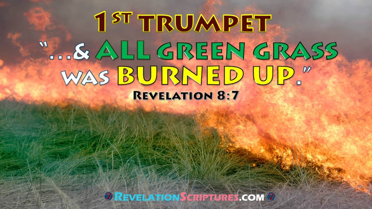 1st Trumpet Scriptural Interpretation & Picture Galleries