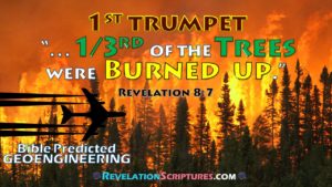 First Trumpet,1st Trumpet,Trumpet 1,1st Trumpet Revelation,Interpretation,Biblical,Scriptural,1st Trumpet,Hail,Fire,Blood,All Grass Burnt,Green Grass Burnt up,Green Grass burning,Green grass dead,Green grass dying,dead grass,dying grass,burning grass,Harvest Fail,crop fail,drought,famine,hunger,starving,birth pains,beginning of Pangs of distress,malnutrition,food security,food scarcity,all of the Green Grass was burnt up,Third Trees Burnt,1/3 trees burnt,trees burnt,treed burning,trees on fire,burning forest,forest fire,forest dying,dead forest,withering trees,Third Earth,1/3rd of the earth burnt up,Burnt,Seven Trumpets,7 Trumpets,Book of Revelation,Revelation 8,Revelation Chapter 8,Apocalypse,End times,Last Days,Fulfillment of Revelation,fulfillment of Bible Prophesy,fulfillment of prophesy,fulfillment of the 1st trumpet,Geoengineering,Bible Predicted Geoengineering,Geoengineering and the Bible,Geoengineering and Prophesy,Geoengineering and the Book of Revelation,Geoengineering and the 1st Trumpet,Chemtrail,stratospheric aerosol,climate,Alumnium,strontinium,barium,biological warfare,climate change,weather,weather modification,weather control,weather weapon,radio frequency,haarp,ocean acidification,military,solar radiation management,SRM,SRI,david keith,Dane Wigington,aerosol injection,ozone layre,Toxic rain,global warming,climate engineering,cloud seeding,Tree die-off,methane,global meltdown,jet spraying,trees die,forest dead,dead,forest,dieing forest,withering trees,UVradiation,Hydrological cycle,