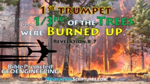 First Trumpet,1st Trumpet,Trumpet 1,1st Trumpet Revelation,Interpretation,Biblical,Scriptural,1st Trumpet,Hail,Fire,Blood,All Grass Burnt,Green Grass Burnt up,Green Grass burning,Green grass dead,Green grass dying,dead grass,dying grass,burning grass,Harvest Fail,crop fail,drought,famine,hunger,starving,birth pains,beginning of Pangs of distress,malnutrition,food security,food scarcity,all of the Green Grass was burnt up,Third Trees Burnt,1/3 trees burnt,trees burnt,treed burning,trees on fire,burning forest,forest fire,forest dying,dead forest,withering trees,Third Earth,1/3rd of the earth burnt up,Burnt,Seven Trumpets,7 Trumpets,Book of Revelation,Revelation 8,Revelation Chapter 8,Apocalypse,End times,Last Days,Fulfillment of Revelation,fulfillment of Bible Prophesy,fulfillment of prophesy,fulfillment of the 1st trumpet,Geoengineering,Bible Predicted Geoengineering,Geoengineering and the Bible,Geoengineering and Prophesy,Geoengineering and the Book of Revelation,Geoengineering and the 1st Trumpet,Chemtrail,stratospheric aerosol,climate,Alumnium,strontinium,barium,biological warfare,climate change,weather,weather modification,weather control,weather weapon,radio frequency,haarp,ocean acidification,military,solar radiation management,SRM,SRI,david keith,Dane Wigington,aerosol injection,ozone layre,Toxic rain,global warming,climate engineering,cloud seeding,Tree die-off,methane,global meltdown,jet spraying,trees die,forest dead,dead,forest,dieing forest,withering trees,UVradiation,Hydrological cycle,
