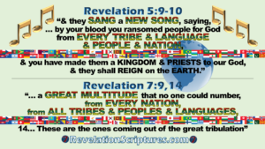 Great Multitude,Priests,Kings,Judges,Sang,New Song,Every Tribe,language,people,nation,all tribes,peoples,languages,great tribulation,come out of the great tribulation,no one could number,no one could count,great crowd,144000,kingdom,reign on the earth,revelation 5,revelation 7,revelation chapter 5,revelation chapter 7,revelation 5:9,revelation 5:10,revelation 7:9,revelation 7:14,6th Seal,Sixth seal,
