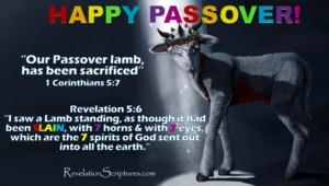 Pesach,firstborn,first born,pass over,leaven,Seder,meals,Seder Supper,wine,matzah,bitter herbs,roasted lamb,Exodus,Lamb,Occurs 24 Times,Book of Revelation,Passover,Revelation 5:6, I saw a LAMB,as though it had been slain,seven horns,seven eyes,seven spirits of God, sent out into all the earth,Revelation 5:8scroll, the four living creatures and the twenty-four elders fell down before the LAMB,Revelation 5:12,Worthy is the LAMB who was slain, to receive power and wealth and wisdom and might and honor and glory and blessing,Revelation 5:13,To him who sits on the throne and to the LAMB, be blessing and honor and glory and might forever and ever,Revelation 6:1, LAMB opened one of the seven seals,Revelation 6:16, Fall on us and hide us from the face of him who is seated on the throne,the wrath of the LAMB,Revelation 7:9, After this I looked, and behold, a great multitude that no one could number, from every nation, from all tribes and peoples and languages, standing before the throne and before the LAMB, clothed in white robes, with palm branches in their hands,Revelation 7:10,and crying out with a loud voice,Salvation belongs to our God who sits on the throne,and to the LAMB,Revelation 7:14,They have washed their robes and made them white in the blood of the LAMB,Revelation 7:17,For the LAMB in the midst of the throne will be their shepherd, and he will guide them to springs of living water, and God will wipe away every tear from their eyes,Revelation 8:1, When the LAMB opened the seventh seal,Revelation 12:11,And they have conquered him by the blood of the LAMB,and by the word of their testimony, for they loved not their lives even unto death,Revelation 13:8,the book of life of the LAMB,Revelation 13:11,two horns like a LAMB,spoke like a dragon,Revelation 14:1,Mount Zion,stood the LAMB,with him 144,000,Revelation 14:4,follow the LAMB wherever he goes,firstfruits for God and the LAMB,Revelation 14:10,tormented with fire and sulfur,presence of the holy angels,in the presence of the LAMB,Revelation 15:3, song of the LAMB,Revelation 17:14,make war on the LAMB,Lamb will conquer them,Revelation 19:7,marriage of the LAMB has come,Revelation 19:9,invited,marriage supper of the LAMB.” Revelation 21:9,Bride,wife of the LAMB,Revelation 21:14,twelve apostles of the LAMB.