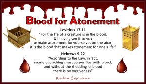 Day of Atonement,Yom Kippur,Book of Revelation,Atonement in Revelation,Day of Atonement in Revelation,Old Testament,Bible,Leviticus,hebrew,High Priest,Sacrifice,mercy seat,temple,lamb,scapegoat,Israel,Jewish Holy Days,Jewish Holidays,blood,blood atonement,cleanse,wash,forgive,cover,purify,pardon,redeem,purge,putoff,reconcile,reconciliation,pacify,Leviticus 17,Yom Kippur in Revelation,Feast in Revelation,Altar,Blood Altar,Sacrifice