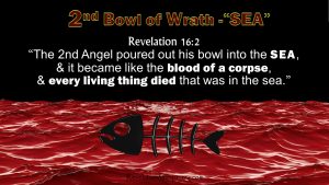 Revelation 16 2,Second Vial, Second Bowl, 2nd Vial,2nd Bowl,wrath,Sea Blood,Everything Died,Corpse,Seven Bowls Vials of Wrath,Book of Revelation, Apocalypse,Revelation Chapter 16
