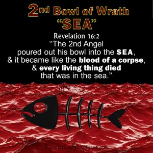 Revelation 16 2,Second Vial, Second Bowl, 2nd Vial,2nd Bowl,wrath,Sea Blood,Everything Died,Corpse,Seven Bowls Vials of Wrath,Book of Revelation, Apocalypse,Revelation Chapter 16
