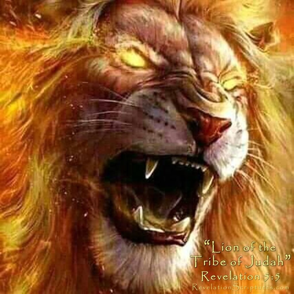 Revelation 5 5,Genesis 49 9,Lion of the Tribe of Judah, Lion of Judah