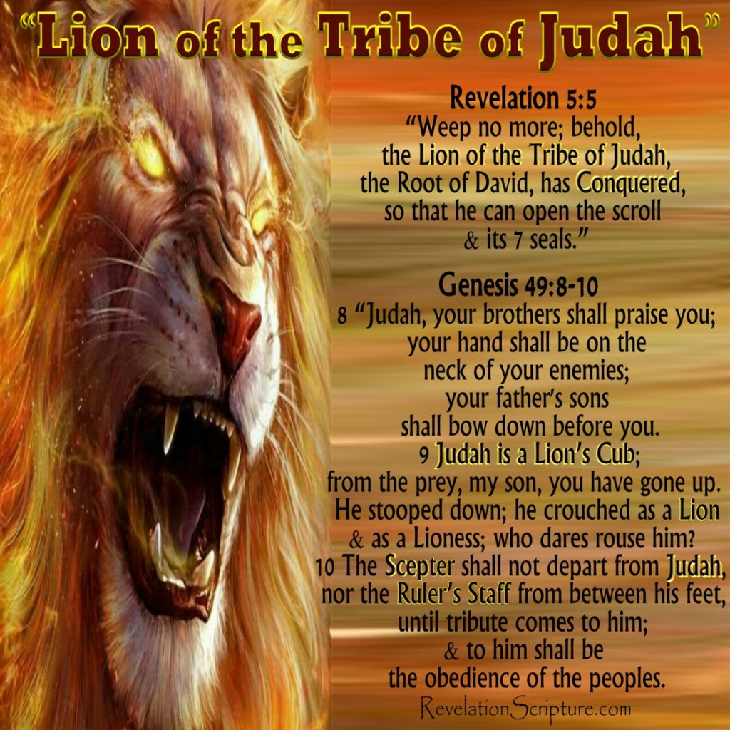 Revelation 5 5,Genesis 49 9,Lion of the Tribe of Judah, Lion of Judah