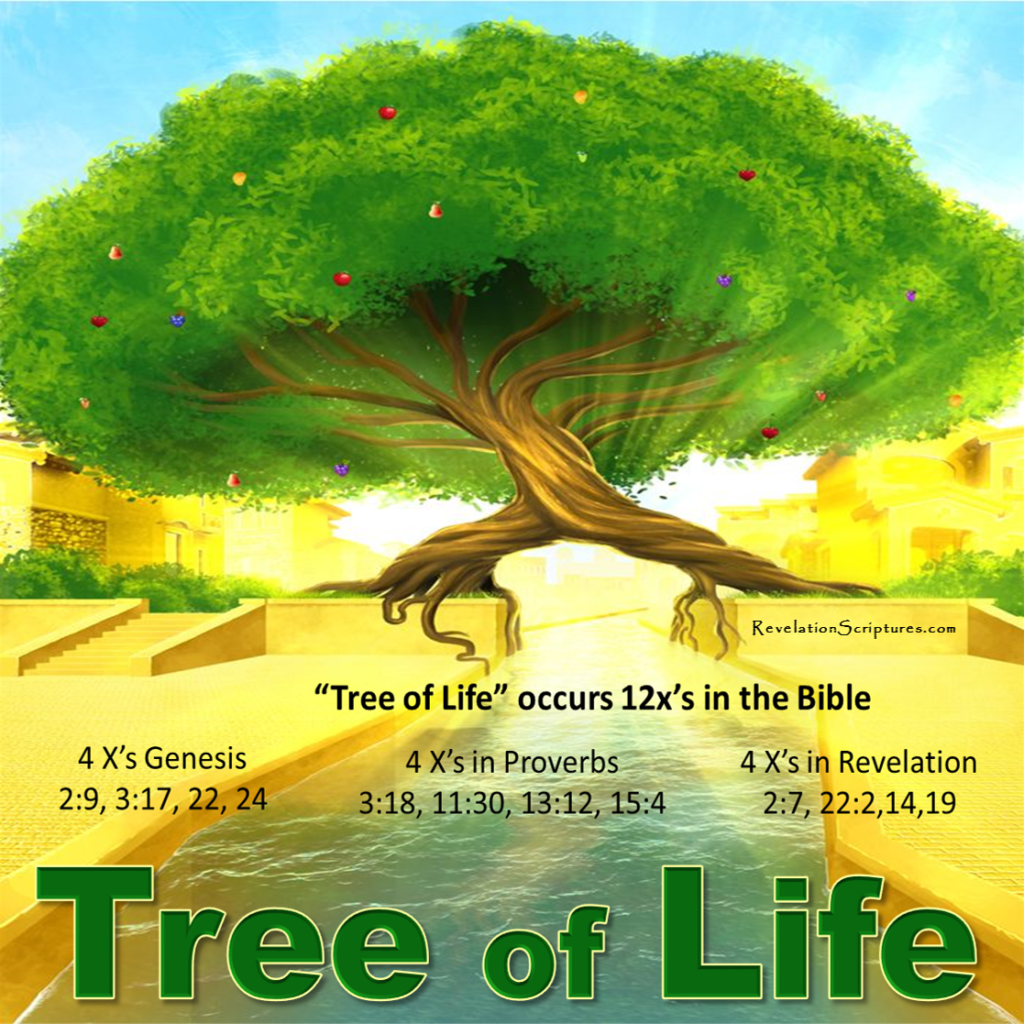 Illustration of the Tree of Life beside a bright river in New Jerusalem, summarizing its twelve Bible references including Revelation 2:7 and Revelation 22:2, 14, 19.