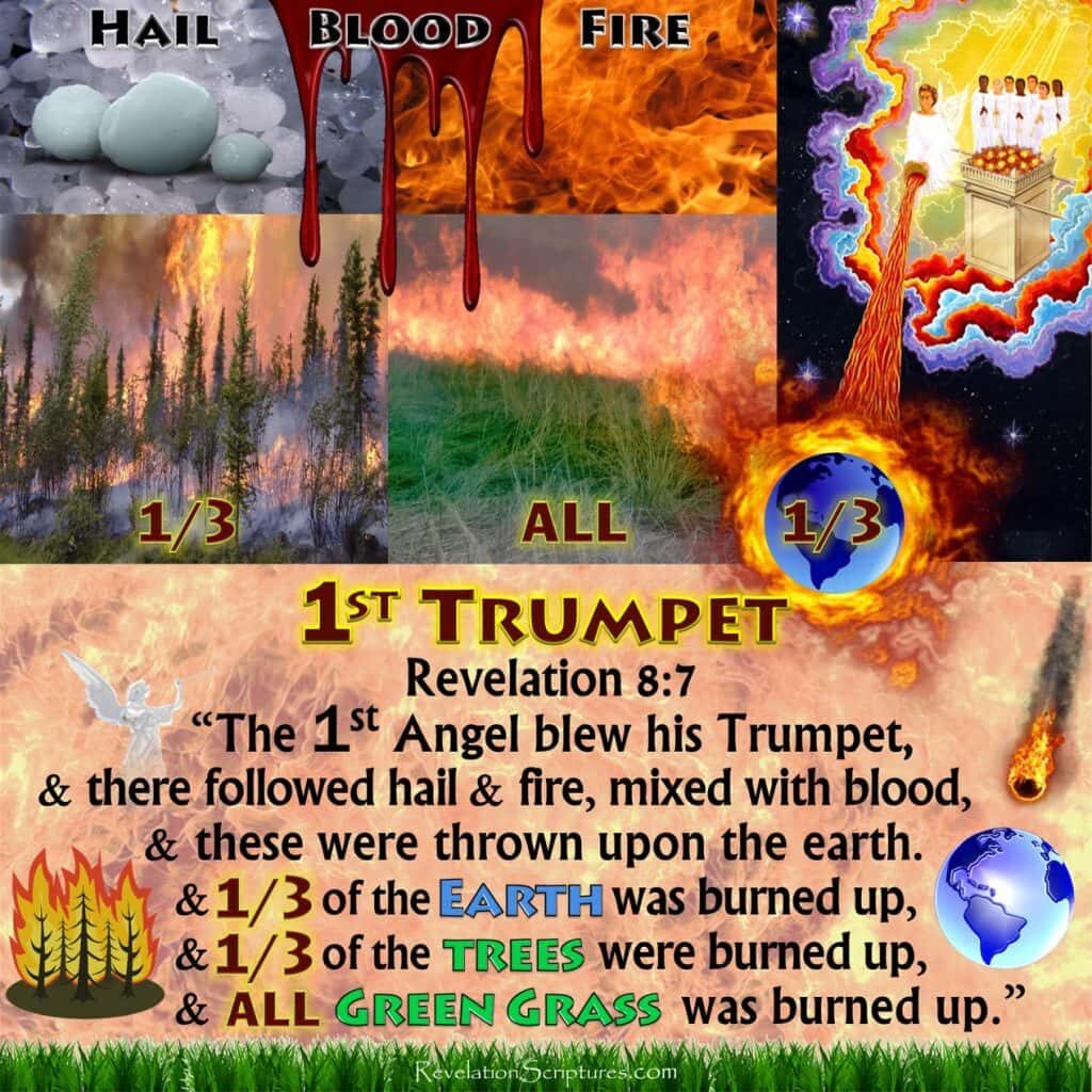 1st Trumpet