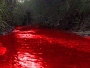 Third-Bowl-of-Wrath-All-Rivers-Springs-turn-to-Blood