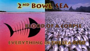 A Picture of 2nd Bowl SEA Blood of A CORPSE