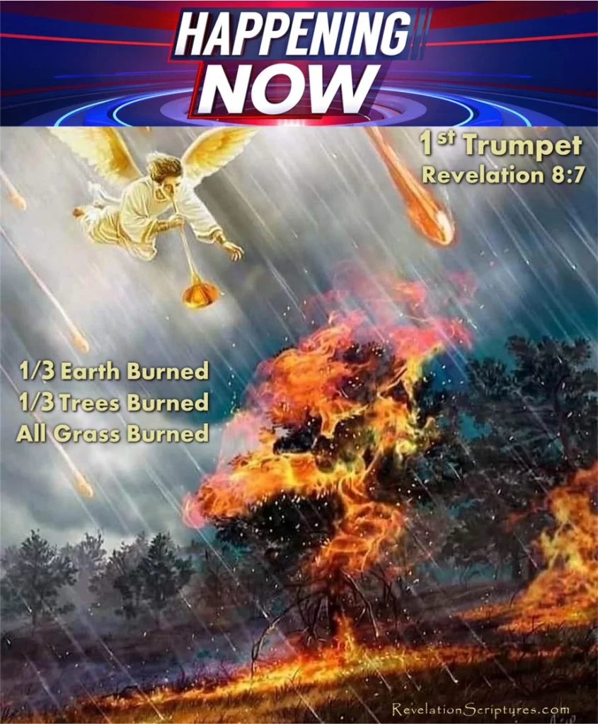 Revelation 8:7 First Trumpet of Revelation Happening Now