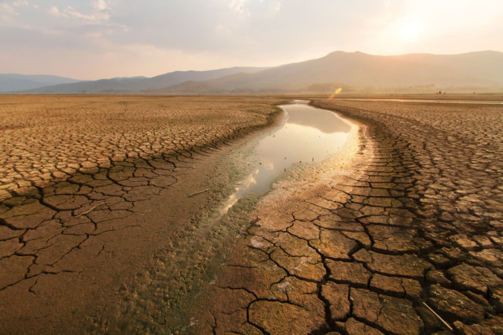 Dried up River