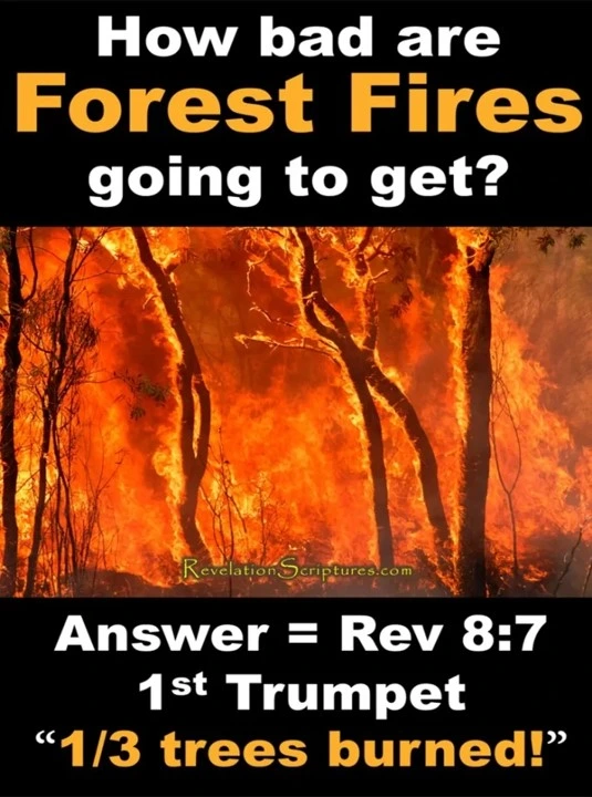 1st Trumpet Revelation 8:7 How bad are forest fires going to get - Third of the Trees Burnt up