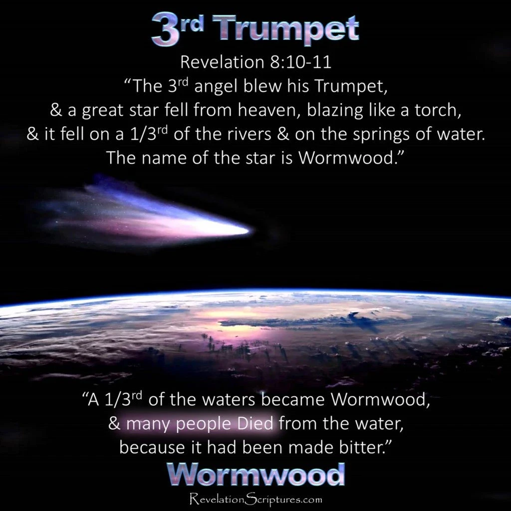 3rd-Trumpet-of-the-Book-of-Revelation-Wormwood (2)