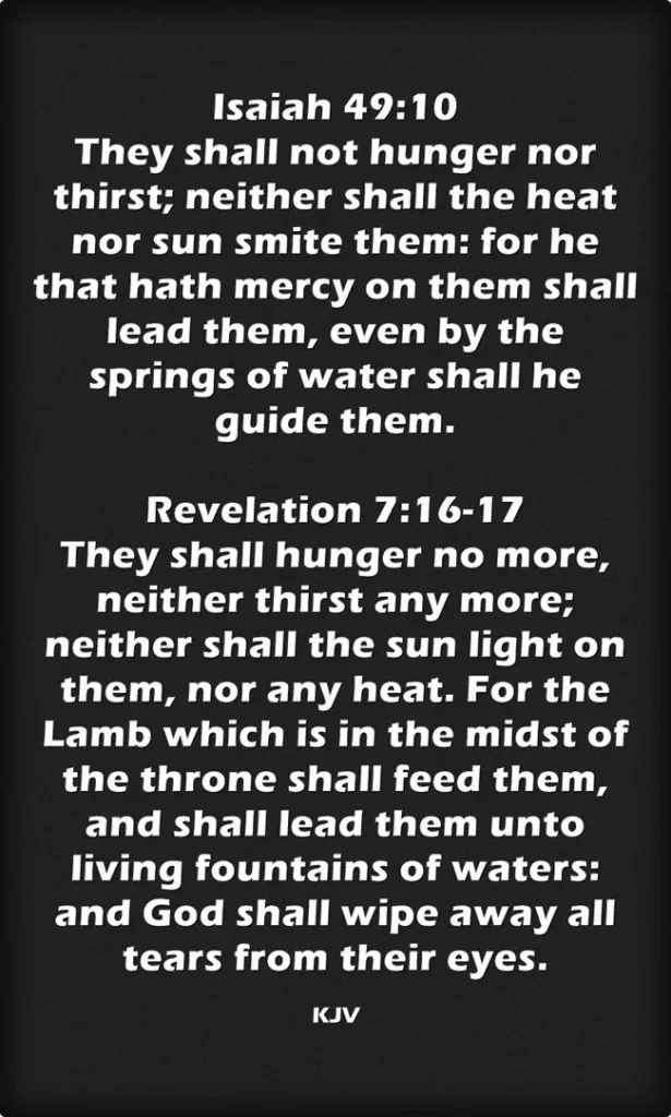 Isaiah 49 Connection to the Book of Revelation Isaiah 49:10 is connected to Revelation 7:16-17